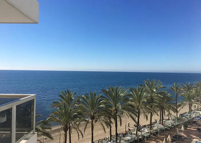 Palmas 3 *